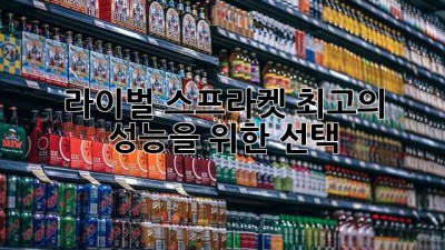 라이벌 스프라켓: 최고의 성능을 위한 선택